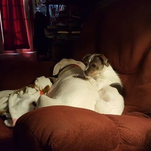 Meet your Posher, Adam